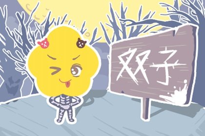 双子男选老婆的要求 大男子主义?