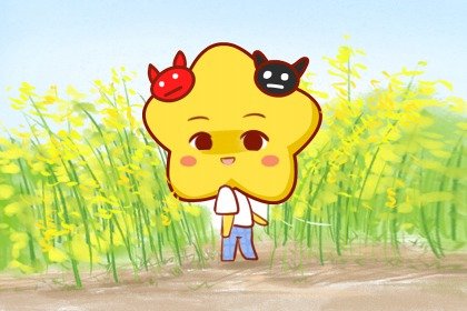 Alex 双子座本周运势详解6.5-6.11